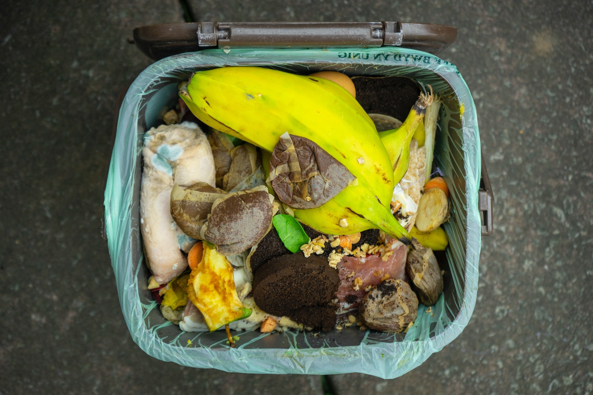 Food Waste | The World's Largest Lesson