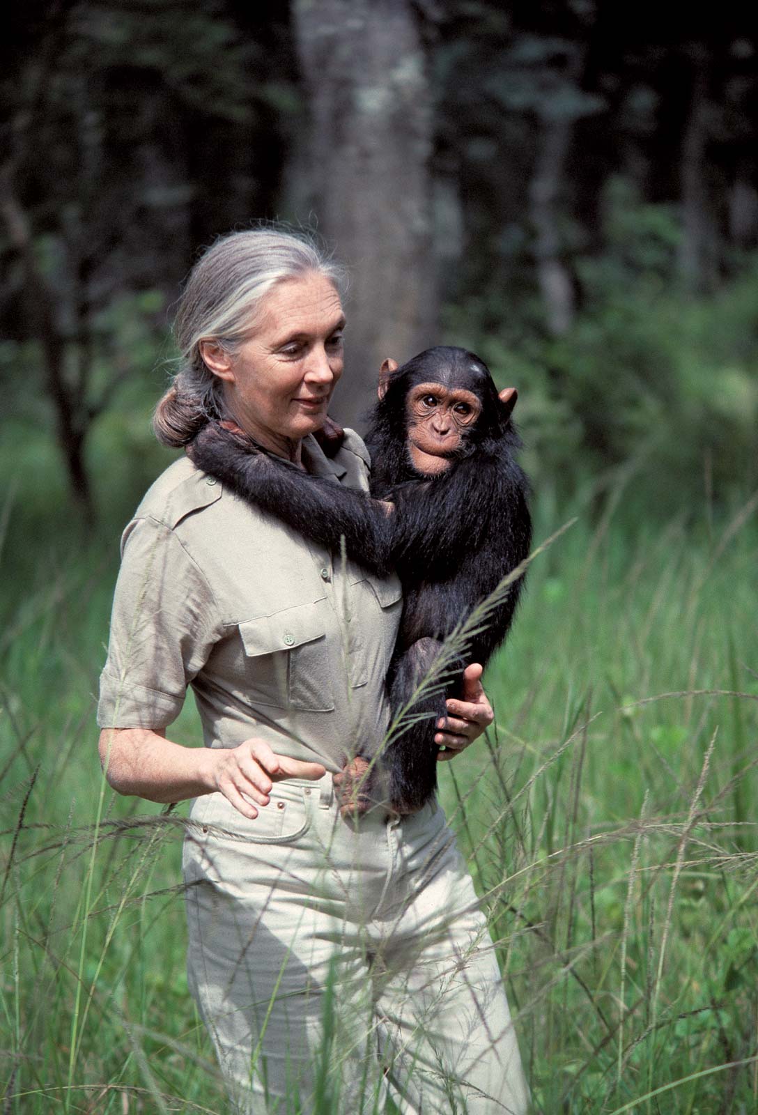 jane goodall research paper